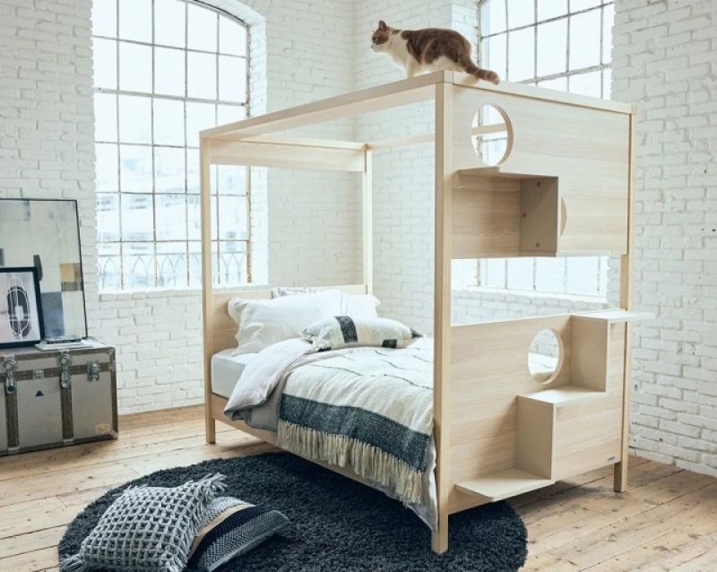 giuong-ngu-bed-with-cat-step-1